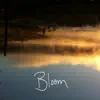 JT Roach - Bloom - Single